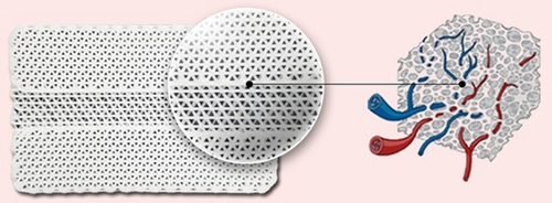 mesh材料微孔状的结构