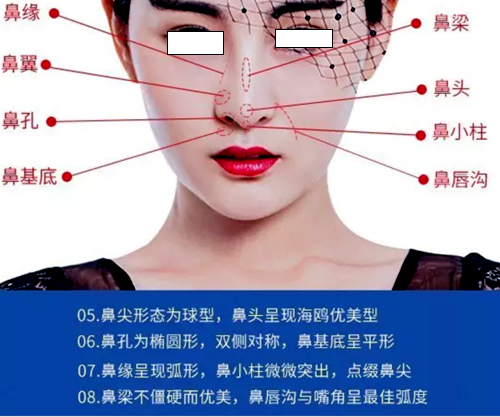 韩国纯真鼻修复大师崔宰源—标准好看的鼻部形态示意图